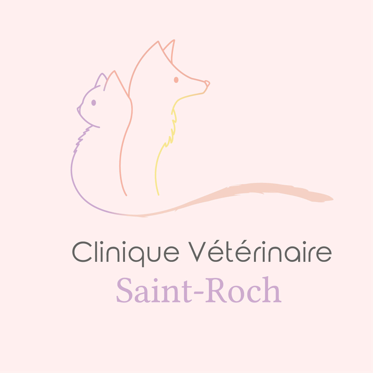 Oniri Studio Logo Vétérinaire Saint Roch